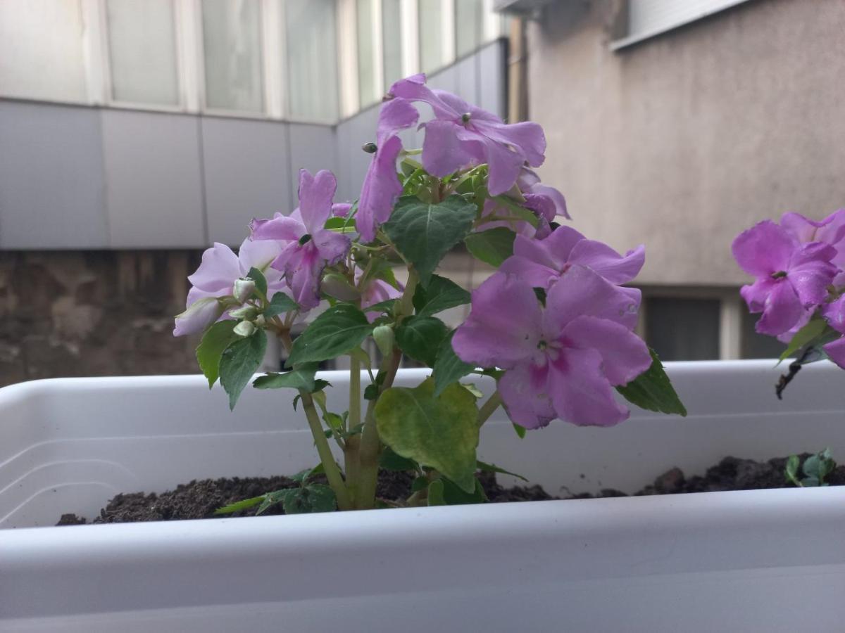 Apartman Central Place Beograd Bagian luar foto